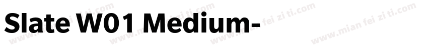 Slate W01 Medium字体转换